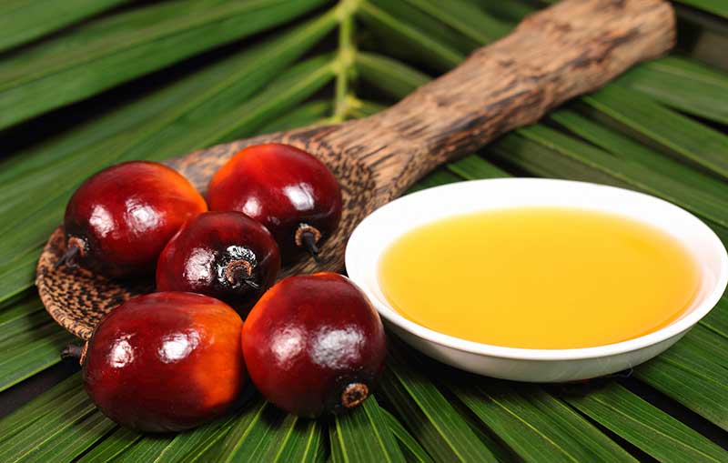 RSPO-certified sustainable palm oil based frying oils